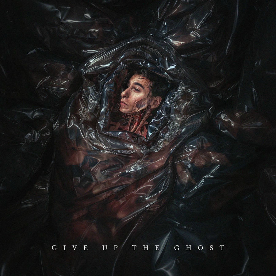 Give Up The Ghost: Reviewed
